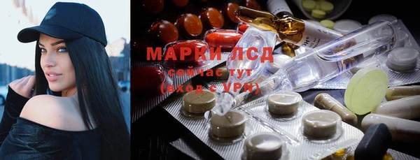 дмт Алзамай