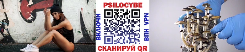Псилоцибиновые грибы мицелий Ленинск